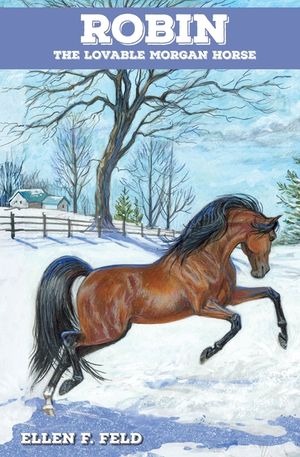 Robin, the Lovable Morgan Horse image number 0