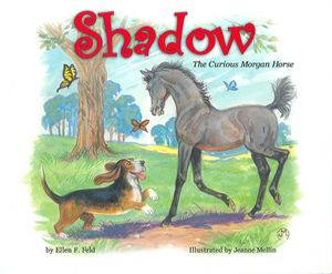 Shadow : The Curious Morgan Horse image number 0