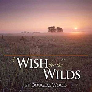 Wish for the Wilds image number 0