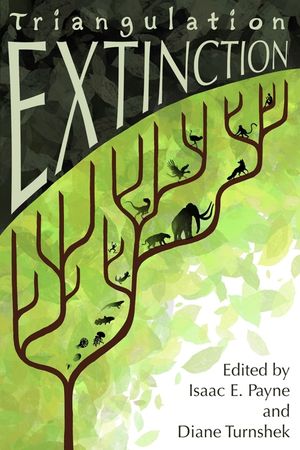 Triangulation: Extinction image number 0