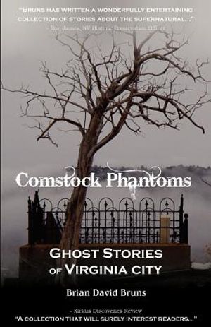 Comstock Phantoms: Ghost Stories of Virginia City image number 0