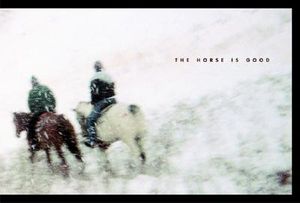 The Horse Is Good image number 0