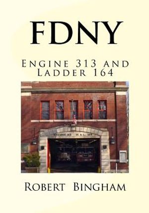 F.D.N.Y.: Engine 313 and Ladder 164 image number 0