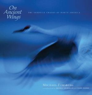On Ancient Wings: The Sandhill Cranes of North America image number 0