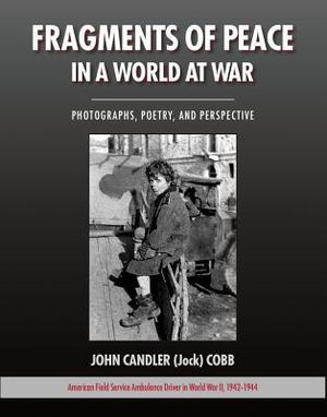 Fragments of Peace in a World at War image number 0