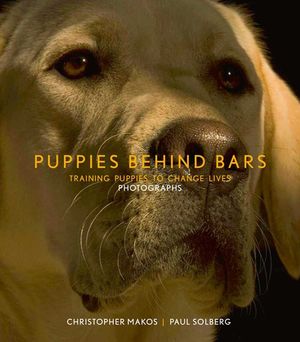 Puppies Behind Bars: Training Puppies to Change Lives image number 0