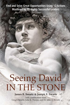 Seeing David in the Stone: Find and Seize Great Opportunities Using 12 Actions Mastered by 70 Highly Successful Leaders image number 0