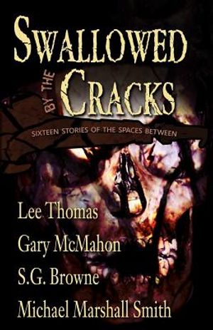 Swallowed By The Cracks image number 0