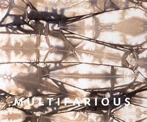 Multifarious: Maya Romanoff's Grand Canvas image number 0