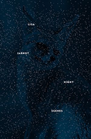 Night Scenes image number 0