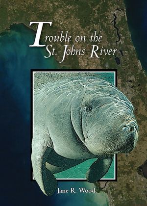 Trouble on the St. Johns River image number 0