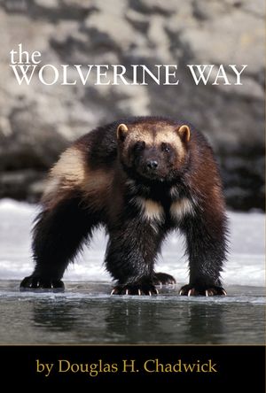 The Wolverine Way image number 0