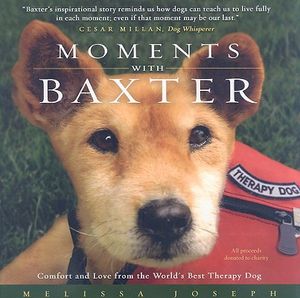 Moments with Baxter image number 0