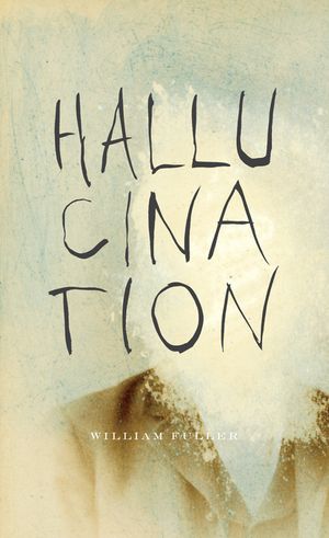 Hallucination image number 0