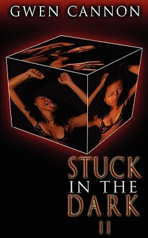 Stuck in the Dark II image number 0