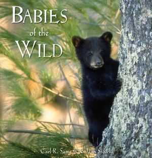 Babies of the Wild image number 0