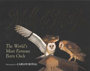 Molly & McGee : A Photo Gallery of the World's Most Famous Barn Owls image number 0