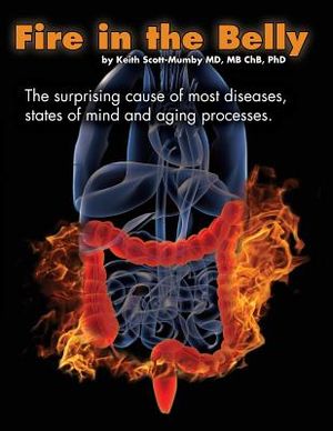Fire In The Belly: The Surprising Cause of Most Diseases, States Of Mind and Aging Processes image number 0