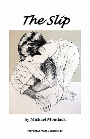 The Slip image number 0