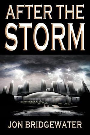 After the Storm: A David Storm Mystery image number 0