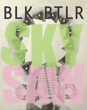 Sky Saw image number 0