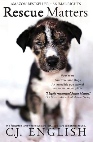 Rescue Matters: Four years. Four thousand dogs. An incredible true story of rescue and redemption. image number 0