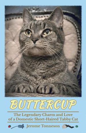 Buttercup - The Legendary Charm and Love of a Domestic Short-Haired Tabby Cat image number 0