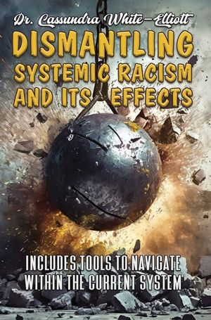Dismantling Systemic Racism and Its Effects image number 0