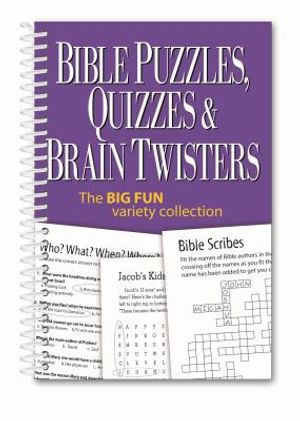 Bible Puzzles, Quizzes & Brain Twisters: The Big Fun Variety Collection image number 0
