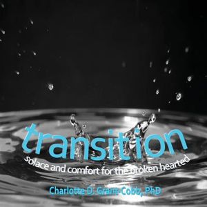 Transition: Solace and Comfort for the Broken Hearted image number 0