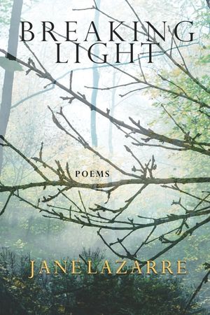 Breaking Light image number 0