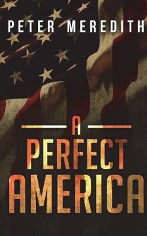 A Perfect America image number 0