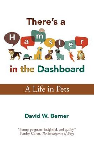 There's a Hamster in the Dashboard image number 0