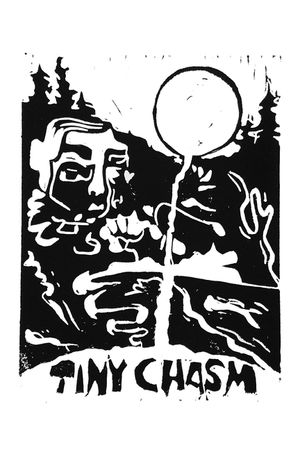 Tiny Chasm image number 0
