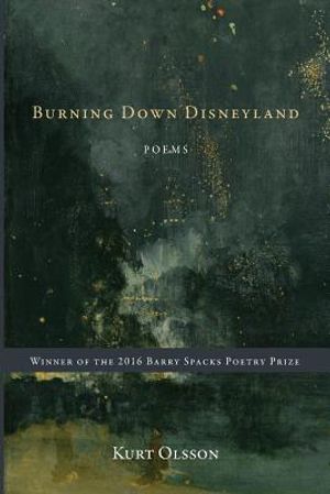 Burning Down Disneyland image number 0