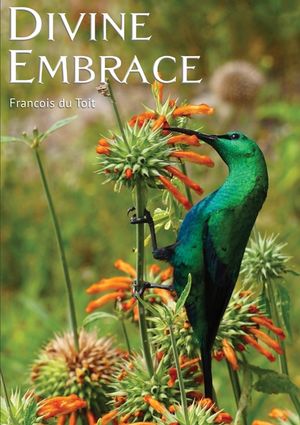 DIVINE EMBRACE New, 30 Chapter, 444page Revised Edition image number 0