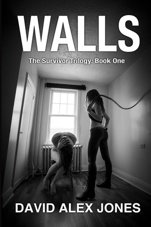 Walls: Second Edition image number 0
