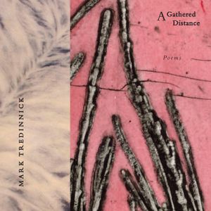 A Gathered Distance: Poems image number 0