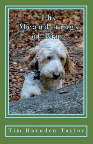 The Meanderings of Bing: A gentle, humorous look at life, snooker, whizzers and other great philosophical mysteries through the meanderings of image number 0