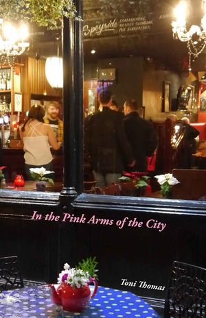 In the Pink Arms of the City image number 0