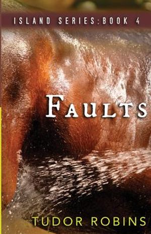 Faults image number 0