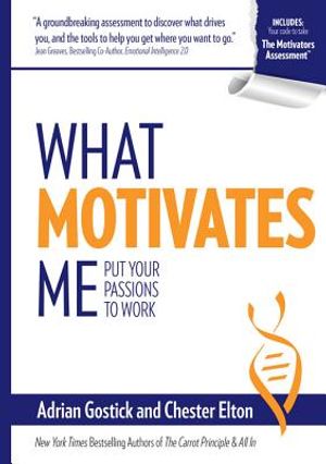 What Motivates Me: Put Your Passions to Work image number 0