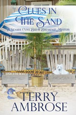 Clues in the Sand image number 0
