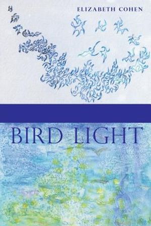 Bird Light image number 0