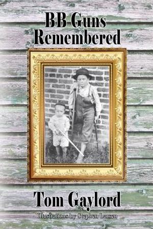 BB Guns Remembered image number 0