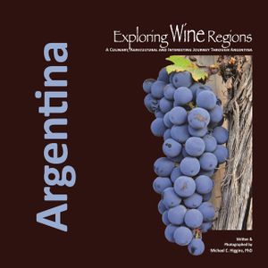 Exploring Wine Regions: Argentina image number 0