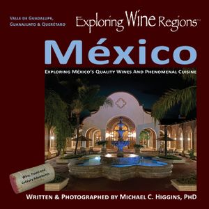Exploring Wine Regions - M&eacute;xico: Discovering M&eacute;xico's Quality Wines and Phenomenal Cuisine image number 0