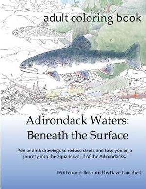 Adirondack Waters: Beneath the Surface image number 0