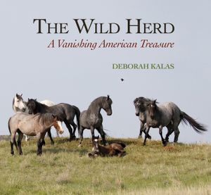 The Wild Herd: A Vanishing American Treasure image number 0
