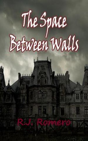 The Space Between Walls image number 0